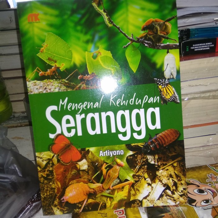 mengenal kehidupan serangga
